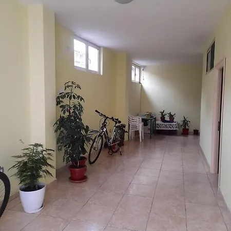 Apartment Andi